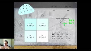 Predicting Future Generations in Populations with HardyWeinberg Equilibrium Part 1 [upl. by Ordnagela]