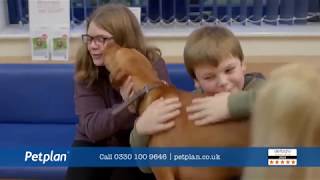 New Petplan Advert featuring Petplan customer Boris [upl. by Persis]