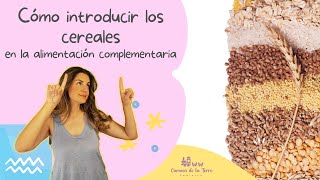 Cómo INTRODUCIR los CEREALES 🥣en ALIMENTACIÓN COMPLEMENTARIA [upl. by Lovett101]