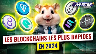 De Ripple à TON  les 6 blockchains les plus rapides battant des records ⚡️ Hamster Academy [upl. by Ennoid]