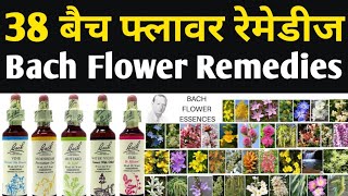 38 Bach Flowers Bach flower remedies benefits Dr Edward Bach [upl. by Neenwahs597]