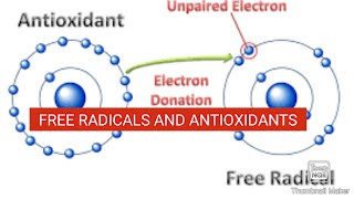 Free Radicals and Antioxidants  Biochemistry [upl. by Elvera]