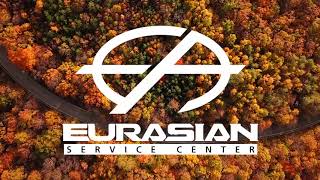 Check Engine Light Repair Eurasian Service Center [upl. by Raddi]