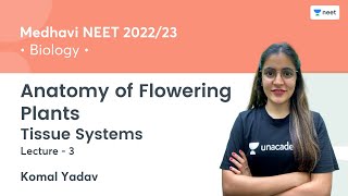 Anatomy of Flowering Plants  Tissue Systems  L3  NEET 202223  Komal Yadav [upl. by Farrison979]