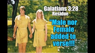 Galatians 328 quotNeither Male Nor Femalequot Added To Verse  Bible Mandela Effect [upl. by Ailad]