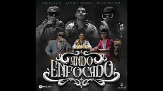 Jaziel Avilez x Codiciado x Peso Pluma  Ando Enfocado  1 hour [upl. by Boigie]