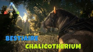 Ark Survival Evolved  FR  Bestiaire  Le Chalicotherium [upl. by Ainatit]