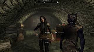 Serana Dialogue AddOn Voice over by me Companions 1 Featuring Follower Inigo [upl. by Nagrom]