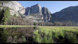 Yosemite National Park in Summer  Copyright Free [upl. by Stace169]