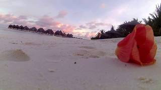 Olhuveli Beach amp Spa Maldives [upl. by Peursem]