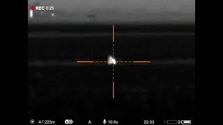 Jackal hunting Pulsar Thermion 2 LRF XQ50  CZ 527 223 rem distance 200 meters [upl. by Aivatnahs]