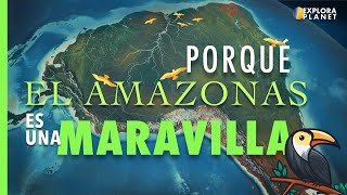 Porque es Importante El Amazonas [upl. by Bolanger561]