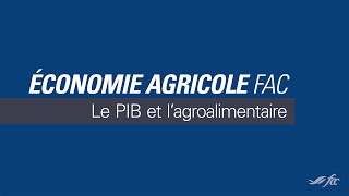 Économie agricole FAC  Le PIB et l’agroalimentaire  Les incontournables en affaires [upl. by Gallager]