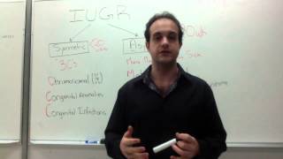 Intrauterine Growth Restriction IUGR Mnemonic [upl. by Kernan]