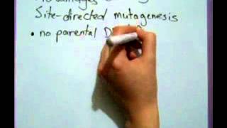 Quikchange Sitedirected Mutagenesis [upl. by Aimal193]