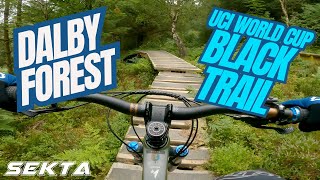 Go Ape Dalby Forest Tree Top Adventure 2017 Go Pro  Episode 58 [upl. by Alekal]