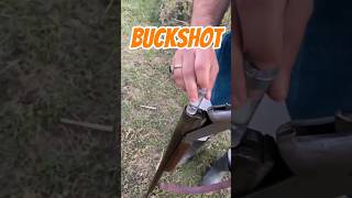 12 Gauge shotgun Buckshot youtubeshorts weapon shotgun 30borepistol 12Gauge duck hunting [upl. by Sulihpoeht]