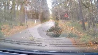 Straße durch Wald nach einer Sturmnacht [upl. by Cela]