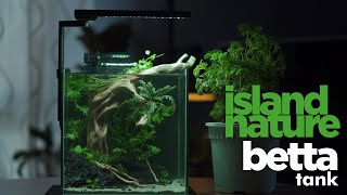 Betta tank island nature nano aquascape step by step [upl. by Ernest]