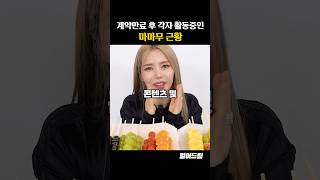 계약만료 후 각자 활동중인 마마무 근황 [upl. by Lexine31]