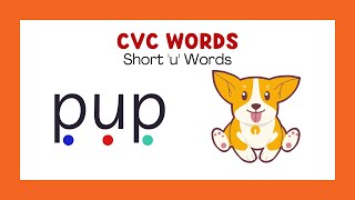 CVC Words Reading Practice with Phonics  Short u Words  Phonics for Kids [upl. by Marks339]