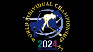 Mounted Games World Individual Champion 2024 Recap [upl. by Akeenat]