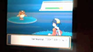 How to catch growlithe in pokemon heart gold and soul silver [upl. by Aroel330]