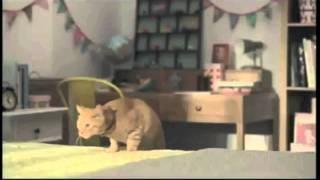 Mannings Commercial  Cat Commercial 萬寧貓仔廣告 結局 [upl. by Anemolihp516]