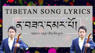 ན་བཟའ་དམར་པོ་ Namsa Marpo Song lyrics by Tenzin Choegyal  Tibetan Karaoke [upl. by Ecnaiva]