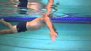 MPI Triathlon Swim Drills Sculling Drill [upl. by Greenwood]