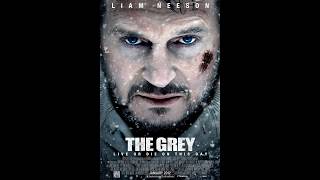 Liam Neeson Movies [upl. by Aihsile162]