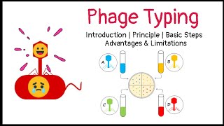 Phage Typing  Introduction  Principle  Basic Steps  Advantages  Limitations [upl. by Retrop]