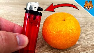 ZÜNDE eine Mandarine an und DAS wird passieren 🔥 Hättest du DAS gewusst 😱 [upl. by Annaor]