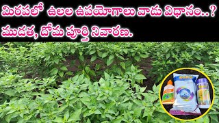 మిరప లో ముడత దోమ నివారణ Ulala insecticide teluguupl ulala ulala uses in Telugu  GLS Farming [upl. by Wardle]