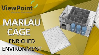 Marlau cage Environmental Enrichment [upl. by Amehsat]