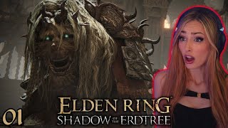 TO THE SHADOW REALM  Elden Ring Shadow of the Erdtree  Full Mage Playthrough  Part 1 [upl. by Ciardap]