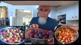 Cooking Live Stream Lets Make Some Plum Jam ASMR Recipe How to Make Canning Jarring [upl. by Mendez]