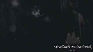 Miners in the 1850s Were Eaten Alive by These Creatures  Woodlands National Park1975 Found Footage [upl. by Jonah333]