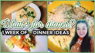 WHATS FOR DINNER 264  7 RealLife Family Meal Ideas [upl. by Atinet745]