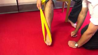 Tibialis Posterior Dysfunction  rehab exercises with latex band [upl. by Anderea]