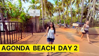 South Goa Agonda BeachGoa 2023Nesting ground for Olive Ridley sea Turtles [upl. by Xela527]