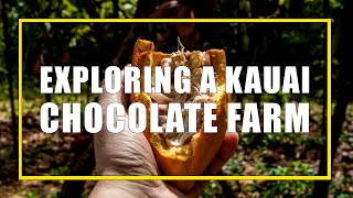 Touring A Chocolate Farm In Kauai [upl. by Naols]