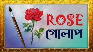 Rose flower drawing amp painting । গোলাপ ফুলের রং করার পদ্ধতি । Watercolor Tutorial । ArtPencil । Ap [upl. by Annoyek]