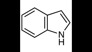 2 Heterocyclic Chemistry Reactions of Indole  Basicity order شرح بالعربي [upl. by Geiss189]