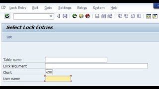 How to release Lock Entries SM12 in SAP [upl. by Boor815]