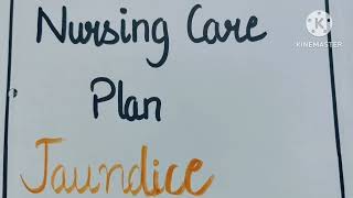 Nursing care plan of patients with Jaundice nursingcareplan ncp pediatrics [upl. by Esekram]