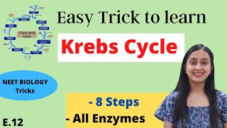 Easy Trick to learn Krebs Cycle  Funny Mnemonics [upl. by Tare408]