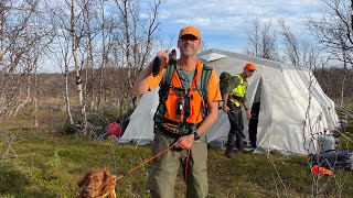 Finnmark 2024 Rypejakt og natur 5 menn og 4 hunder på tur fra 10 Sept [upl. by Odlareg]