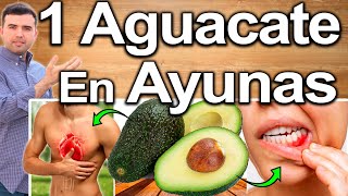 1 AGUACATE EN AYUNAS CURA TODO  ¿Para Qué Sirve La Palta  Beneficios Para Tu Salud Y Belleza [upl. by Adlemi]