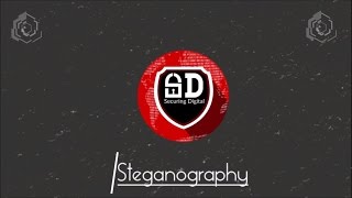 How To Perform Steganography  100 Working Method [upl. by Colwell56]